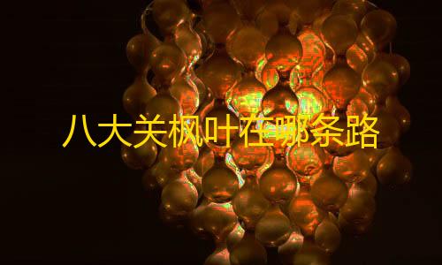 飞天外挂暗区八大关枫叶在哪条路